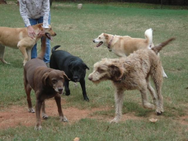 Group play time!